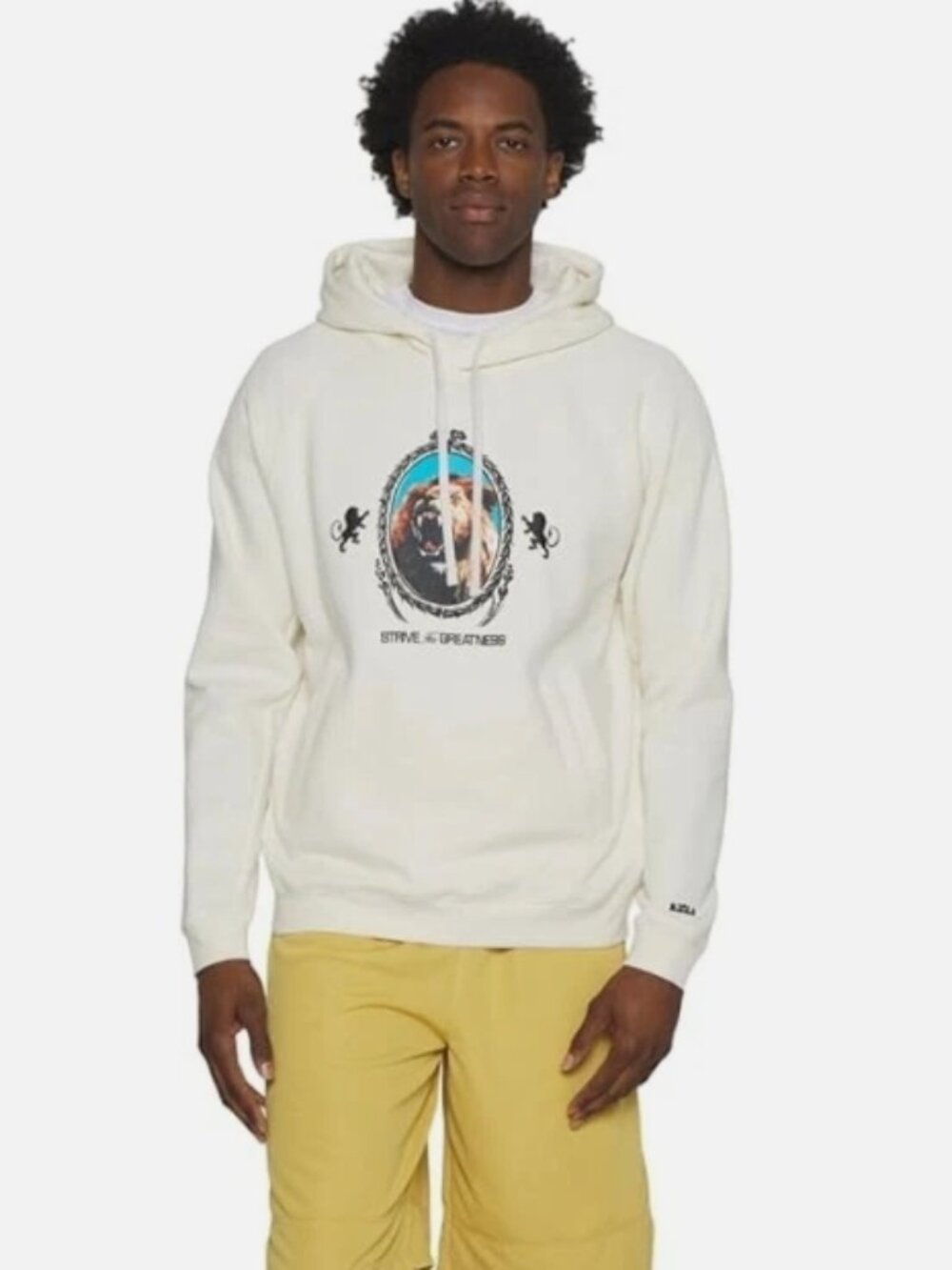 Nike Lebron Men's Pullover Fleece Hoodie (Phantom/Heather/Black) Size Large